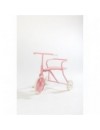 FOXRIDER ROZE